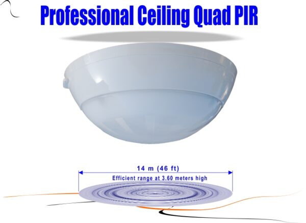 Quad Ceiling PIR